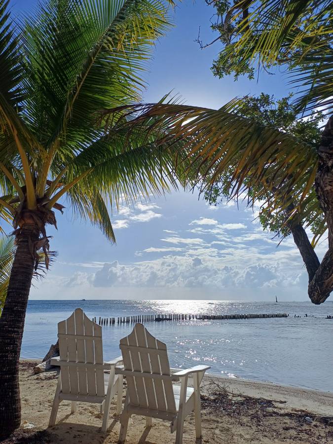 Two empty chairs facing the sea under palm trees
