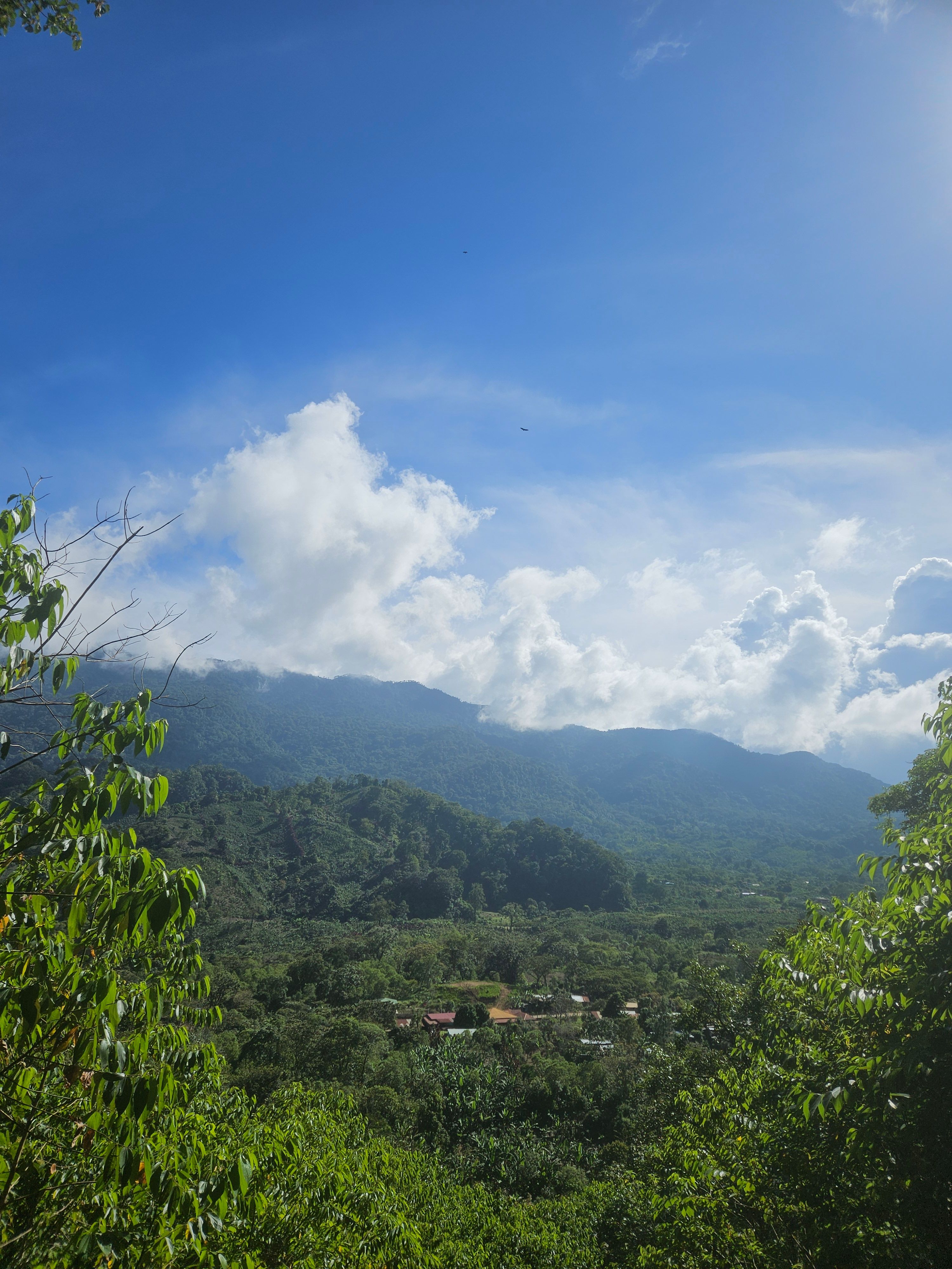 Green mountains under tall afternoon clouds
