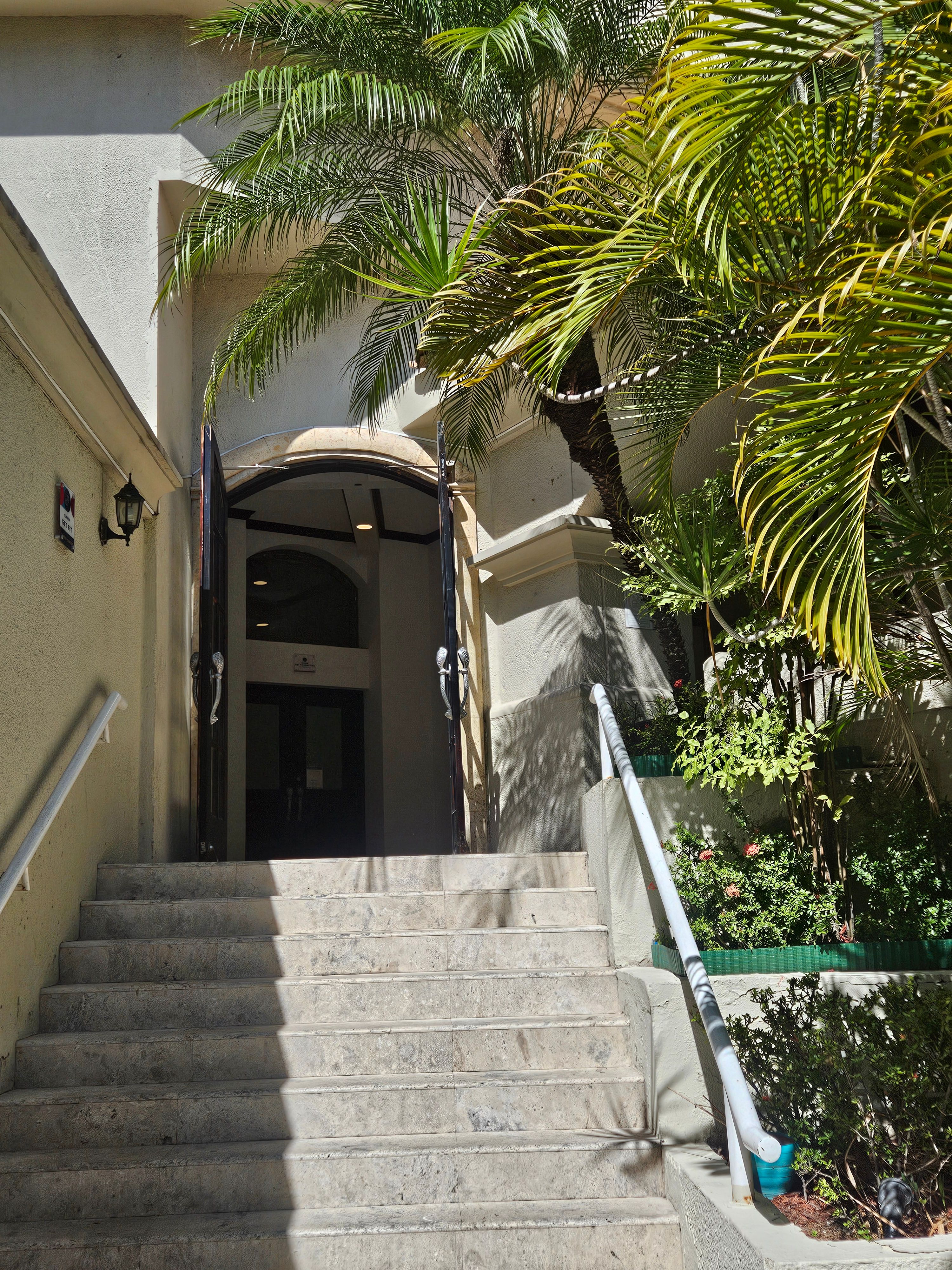 A stone stairway climbing through palms toward an open doorway