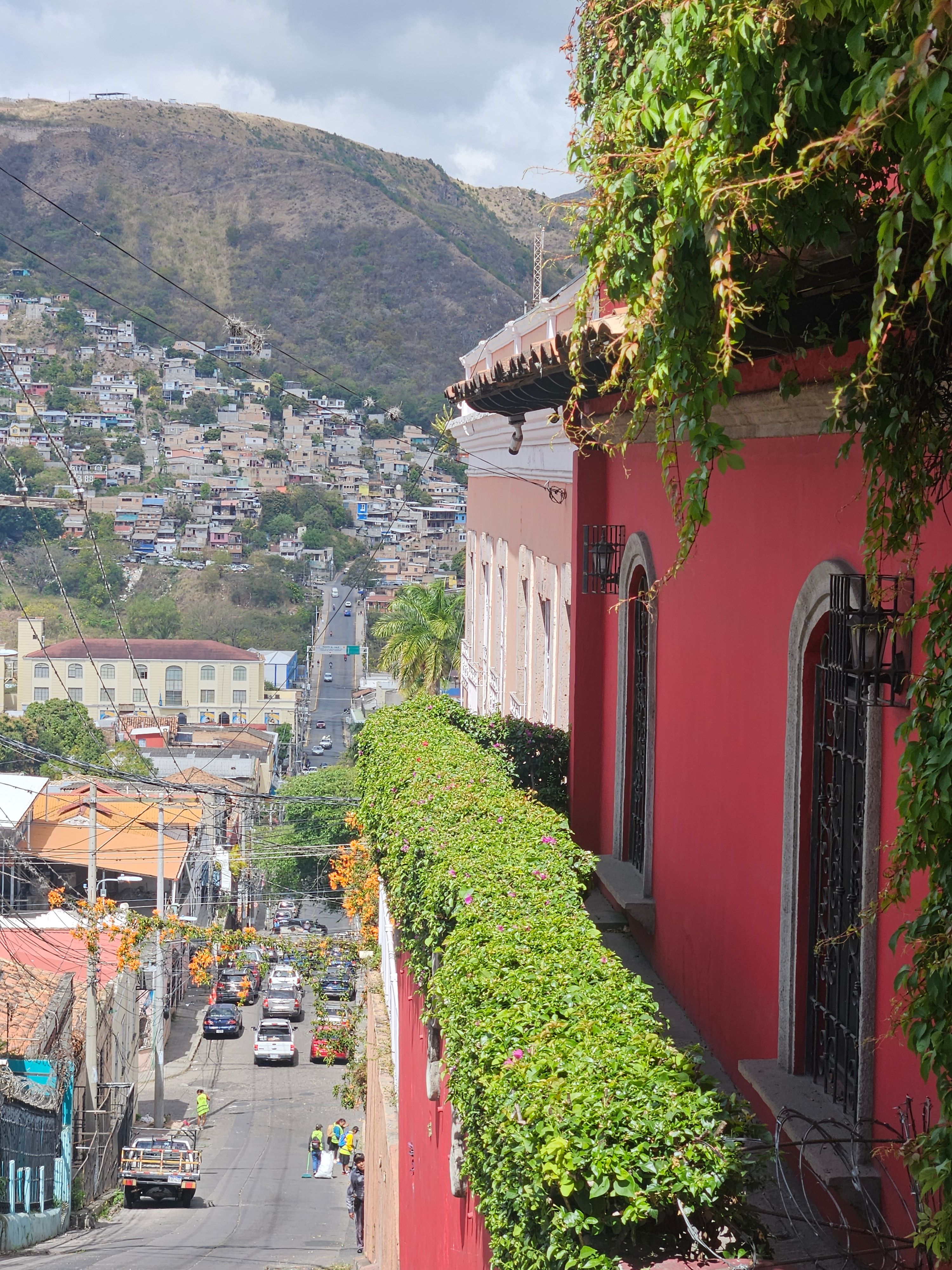 A hillside neighbourhood spilling down toward the city