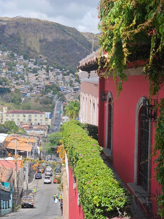 A hillside neighbourhood spilling down toward the city