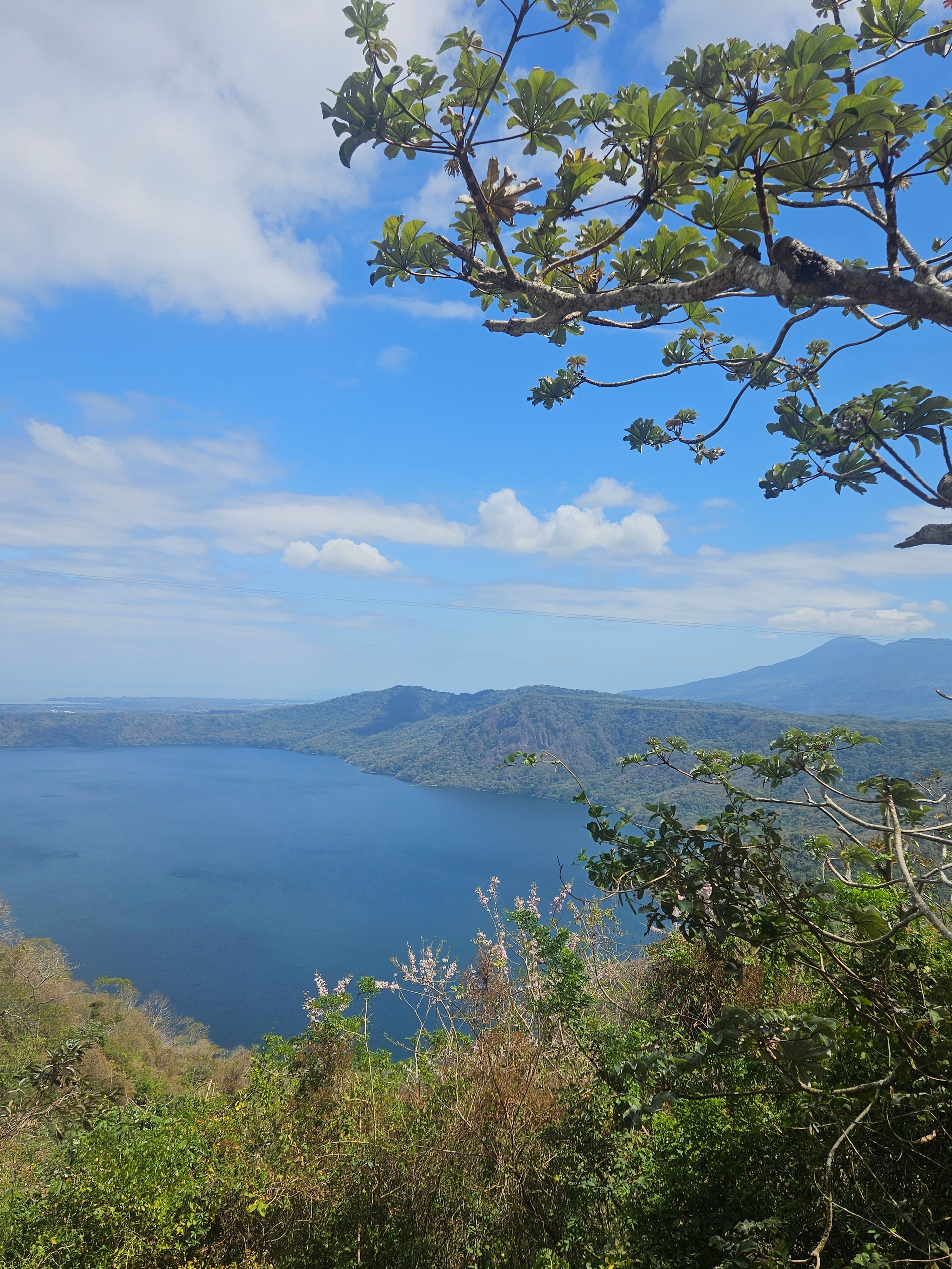 A lake and distant mountains seen through tree branches