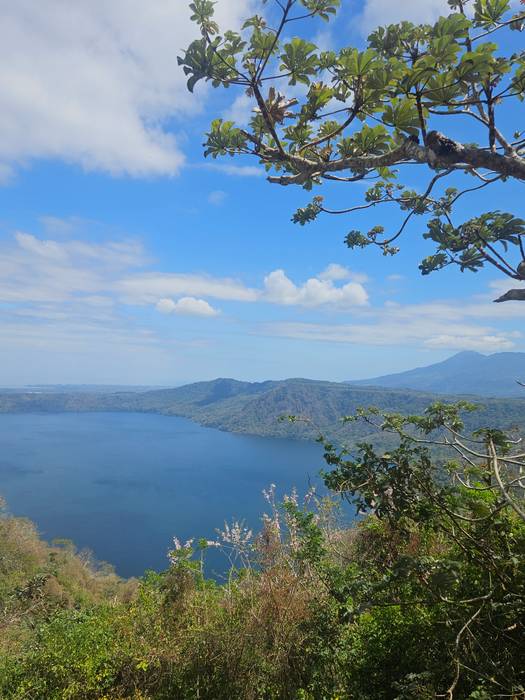 A lake and distant mountains seen through tree branches